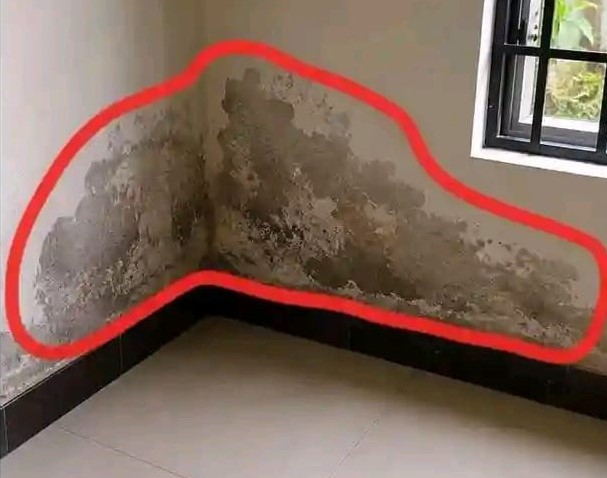 Expert damp proofing and wall moisture repair in Nairobi & Kenya. Permanent solutions for rising damp, mould & peeling walls. Free site visit. Call now. damp proofing contractors in Kenya, wall moisture repair experts Nairobi, damp proofing Nairobi